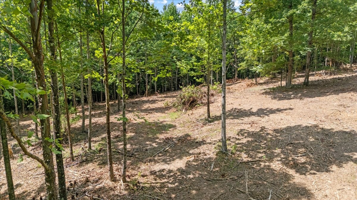 0 Upper Creek Rd Property Photo 7