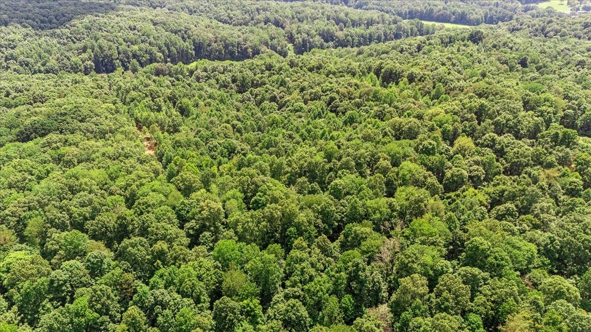 0 Upper Creek Rd Property Photo 8