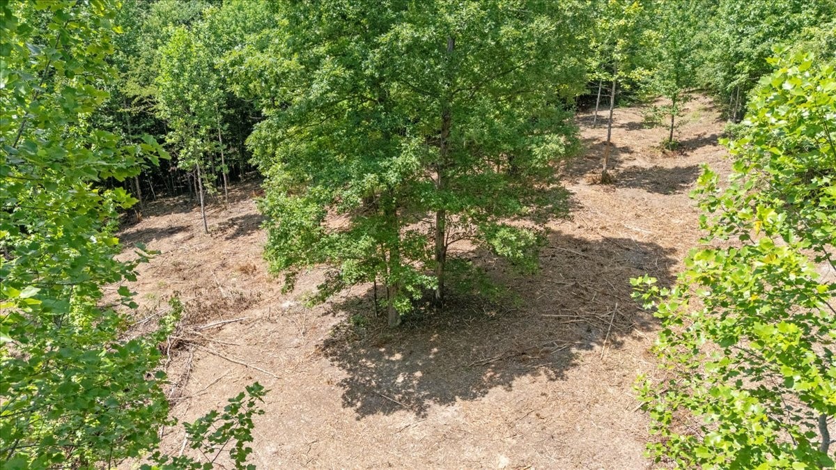 0 Upper Creek Rd Property Photo 10