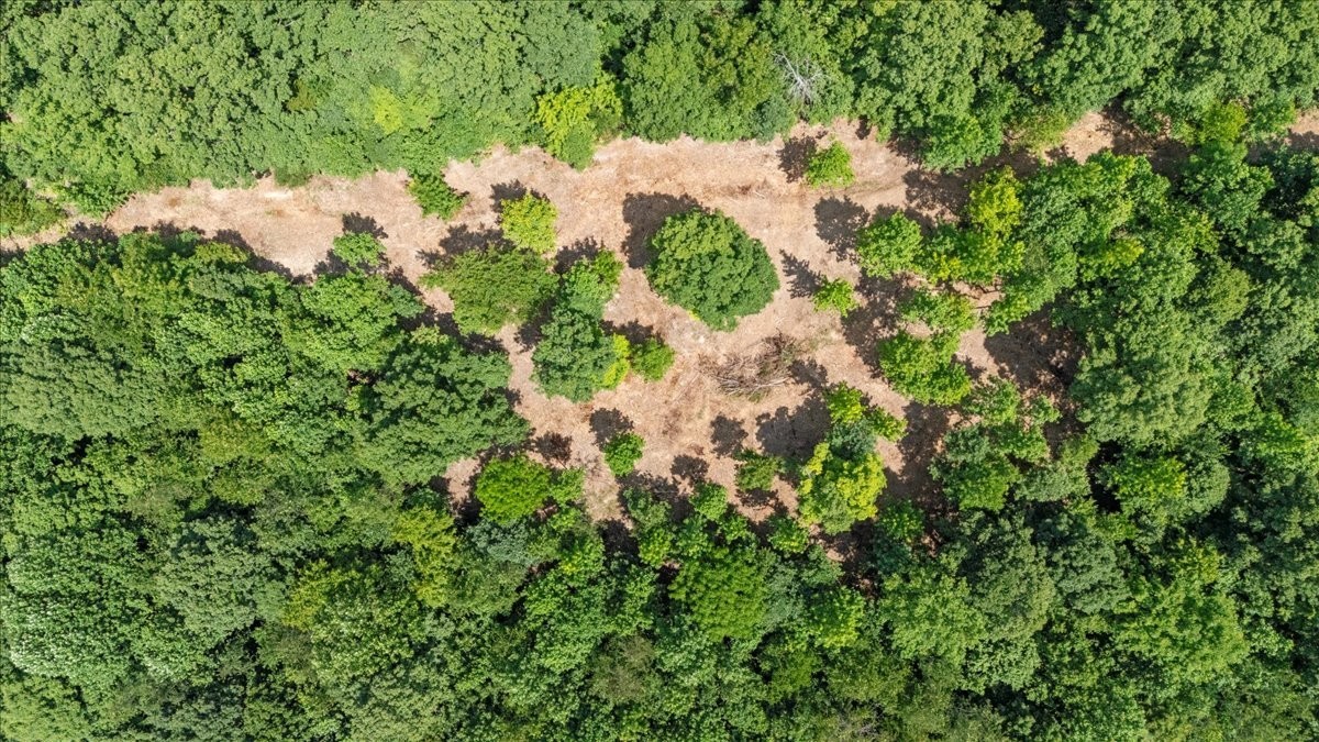 0 Upper Creek Rd Property Photo 11