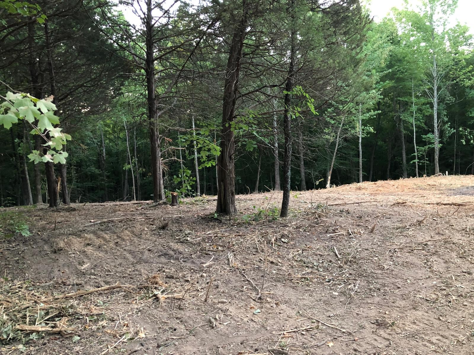 0 Upper Creek Rd Property Photo 14