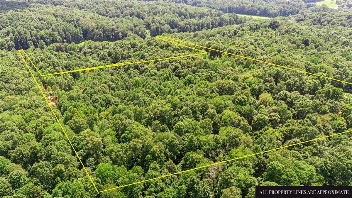 0 Upper Creek Rd Property Photo 18