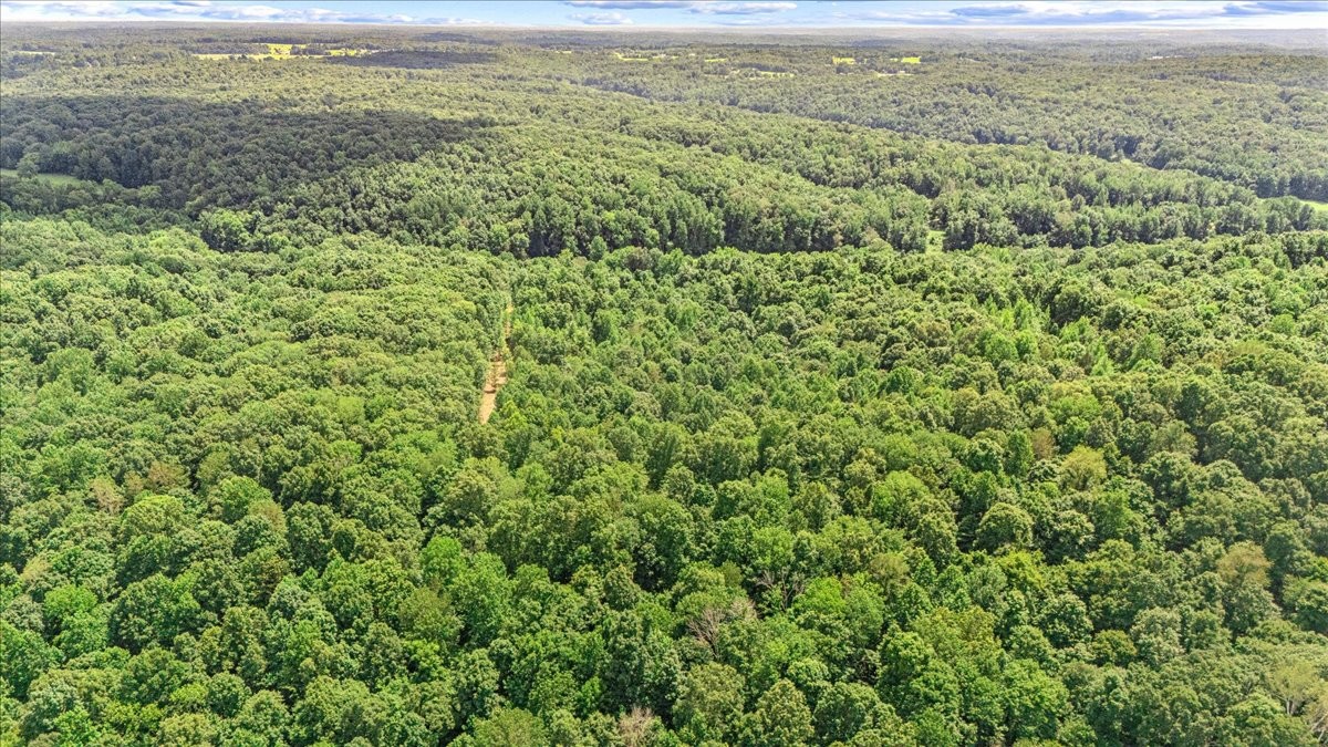 0 Upper Creek Rd Property Photo 19