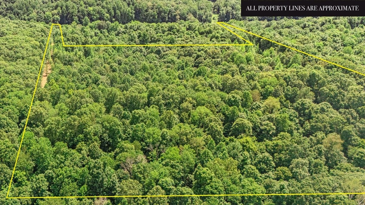 0 Upper Creek Rd Property Photo 20