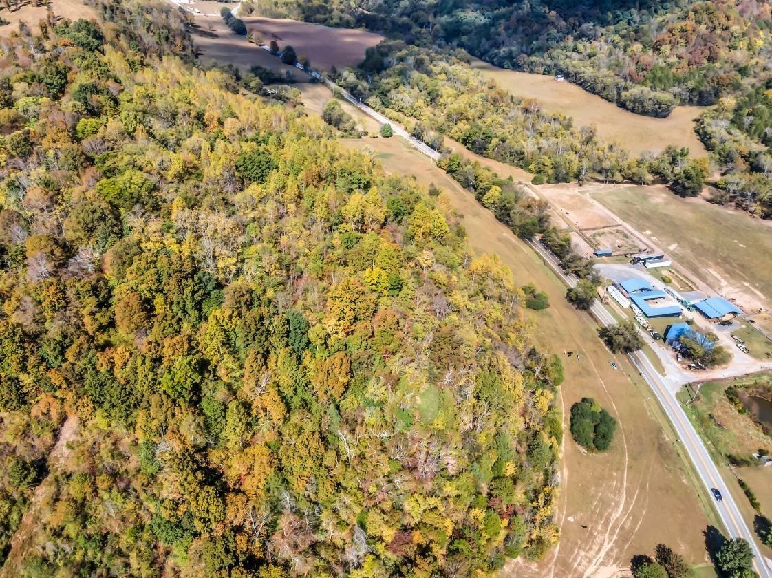 13581 Campbellsville Rd Lot 2 Property Photo 18