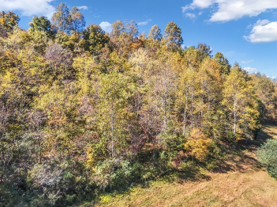 13581 Campbellsville Rd Lot 2 Property Photo 20