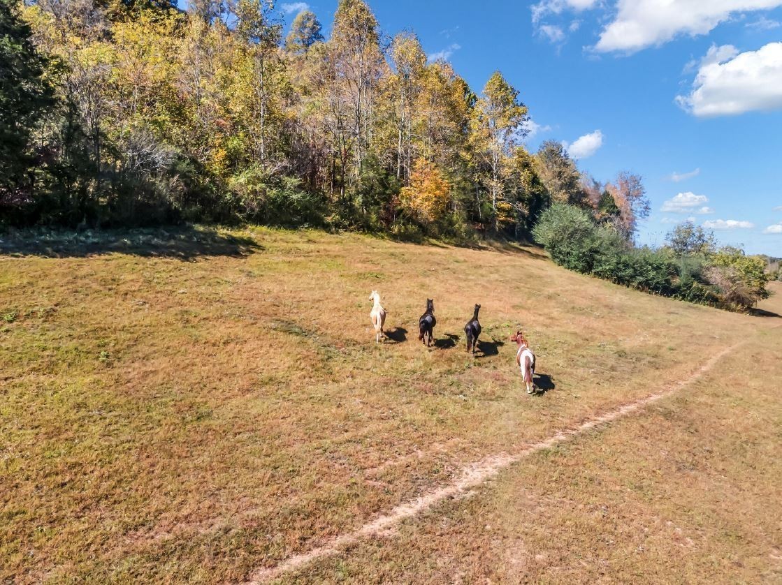 13581 Campbellsville Rd Lot 4 Property Photo 12