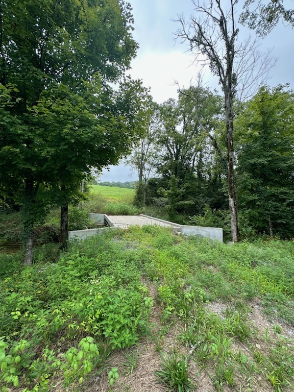 772 Rock Bridge Rd Property Photo 1