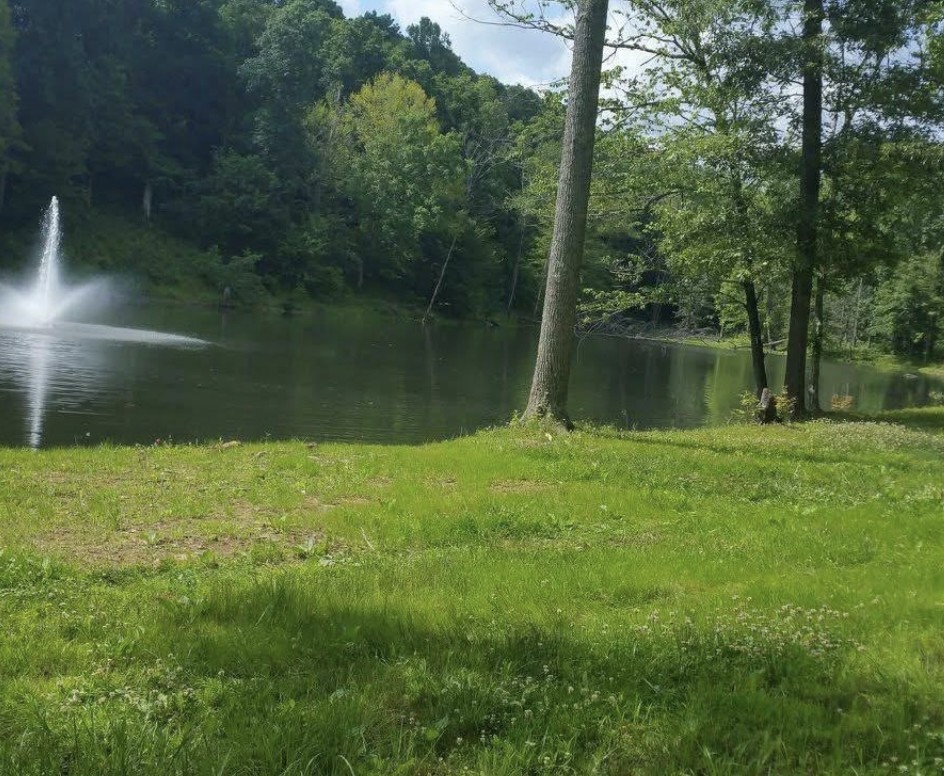 10 Yellow Violet Ct Property Photo 2