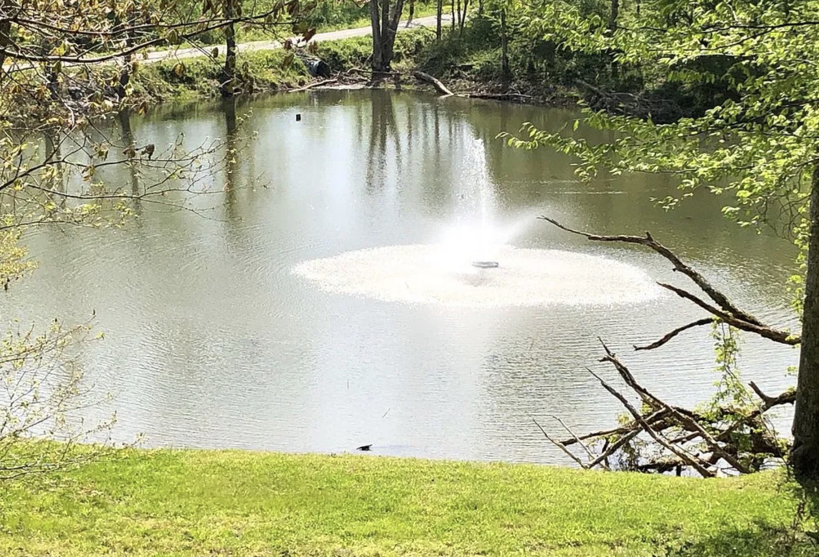 10 Yellow Violet Ct Property Photo 4