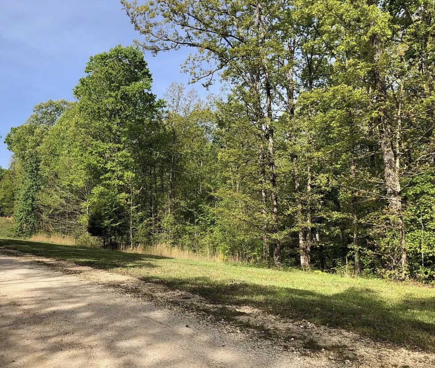 10 Yellow Violet Ct Property Photo 6