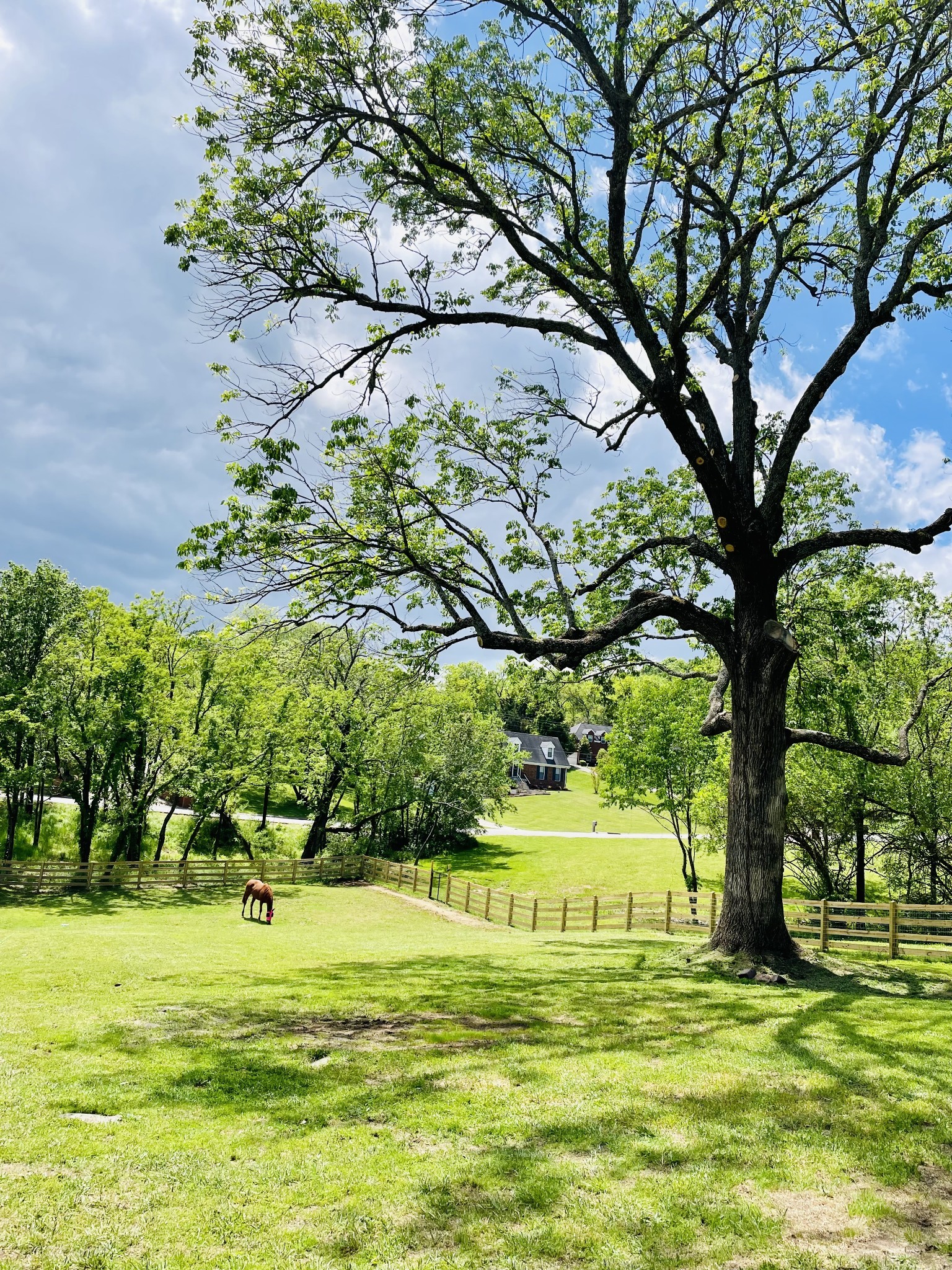 1019 Forestpointe Property Photo 1