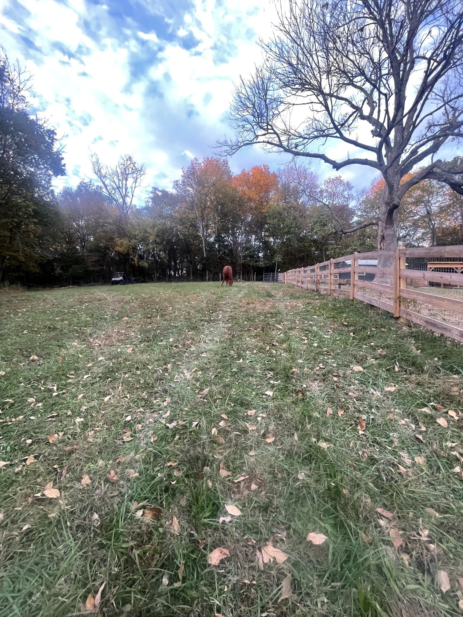 1019 Forestpointe Property Photo 2