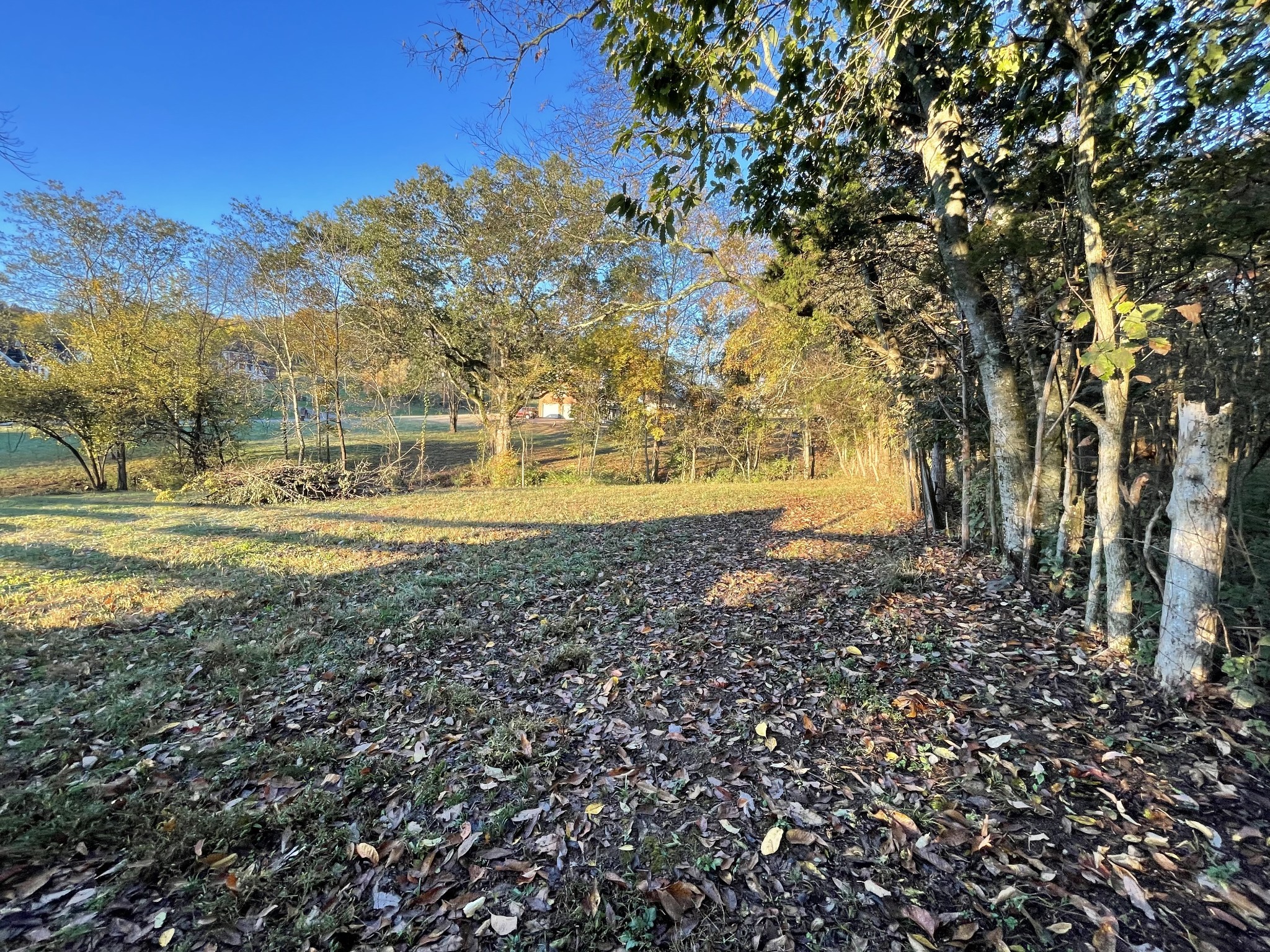 1019 Forestpointe Property Photo 3