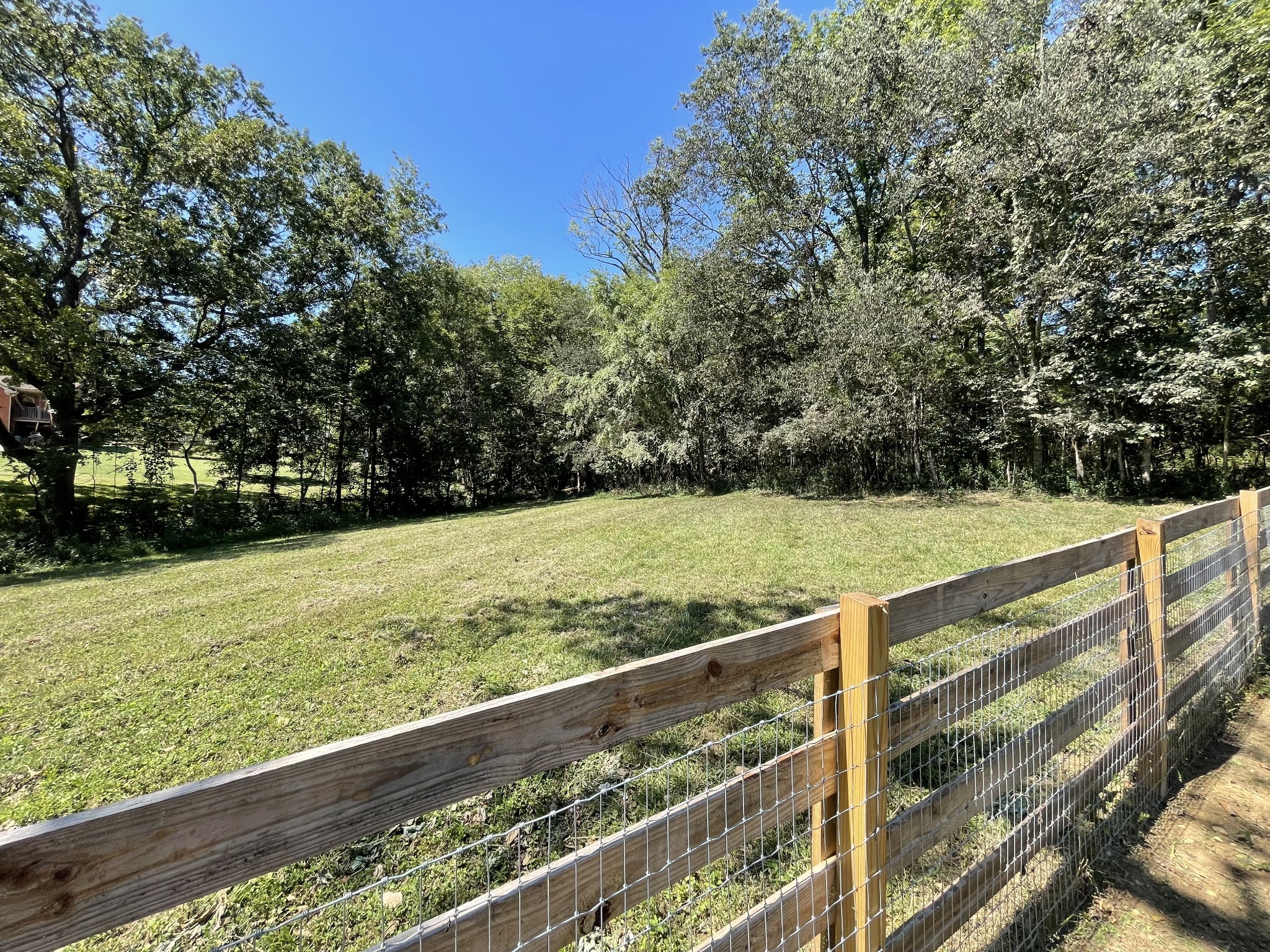 1019 Forestpointe Property Photo 4