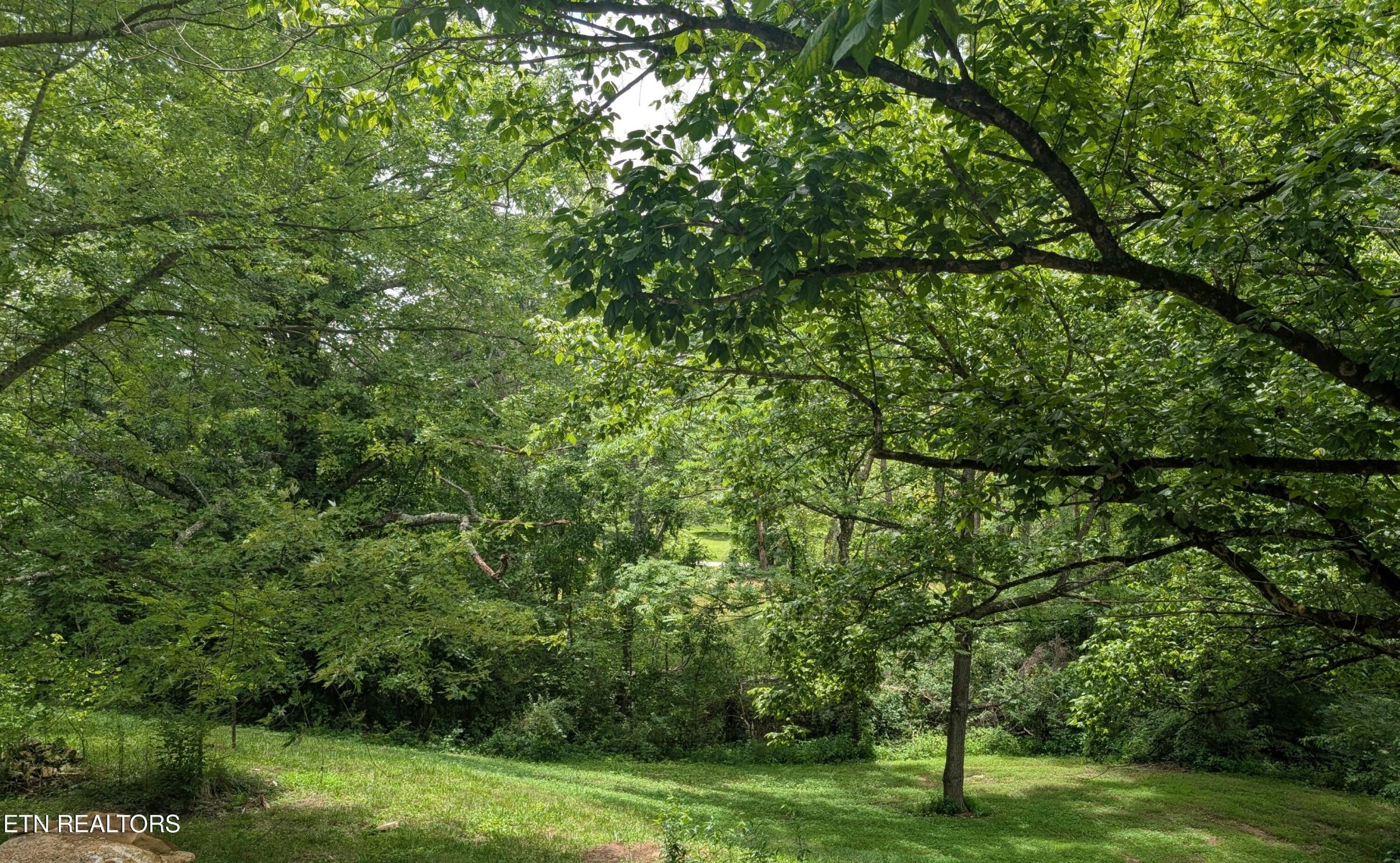 64 Buena Vista Drive Property Photo 15