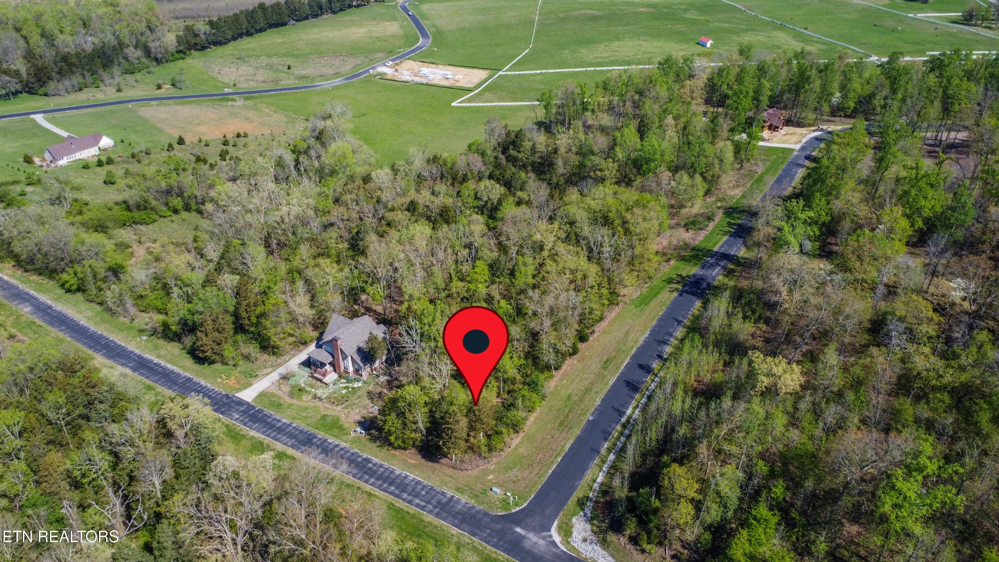 359 Walking Horse Tr Property Photo 1