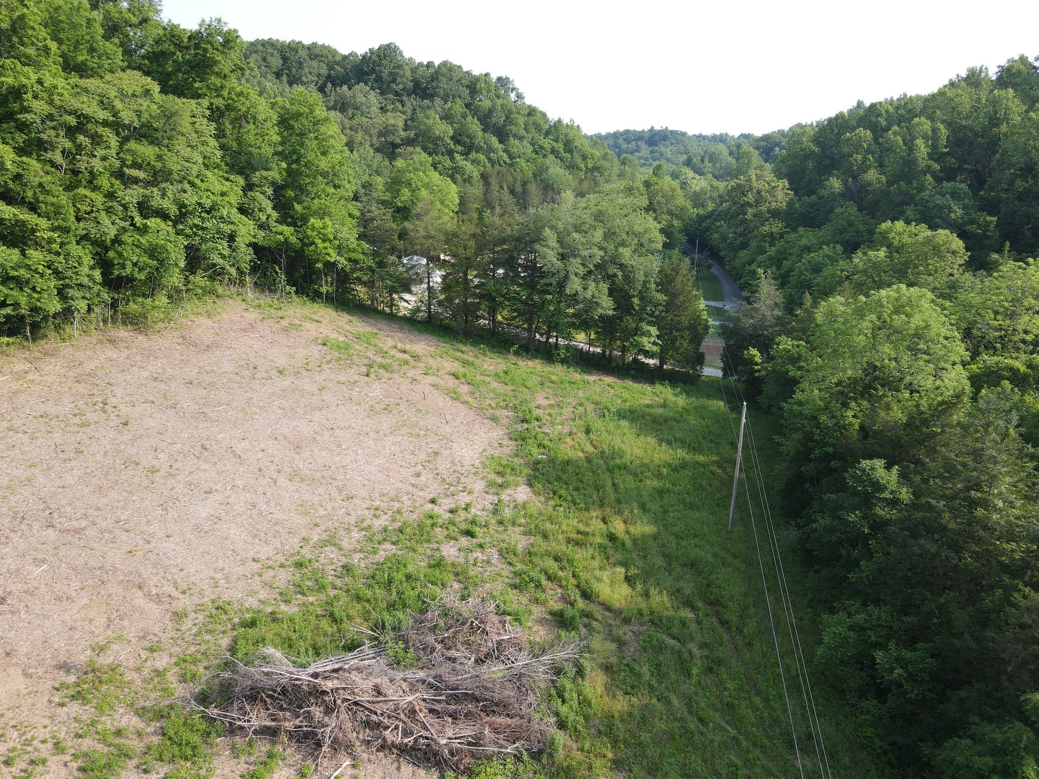 0 Cole Ridge Road Property Photo 2