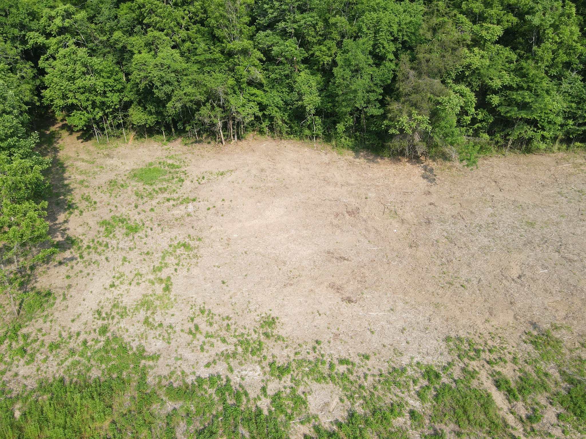 0 Cole Ridge Road Property Photo 3