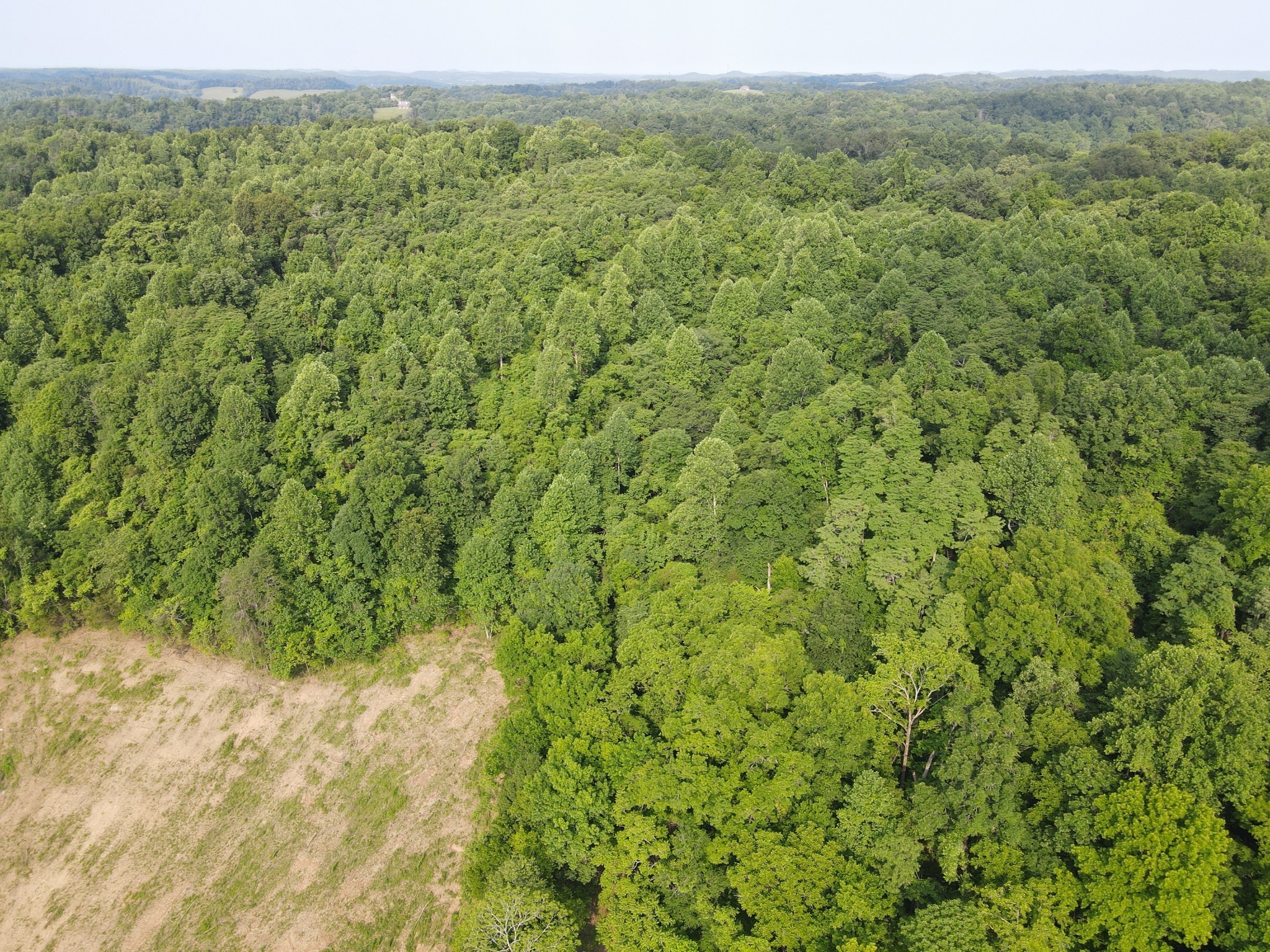 0 Cole Ridge Road Property Photo 5