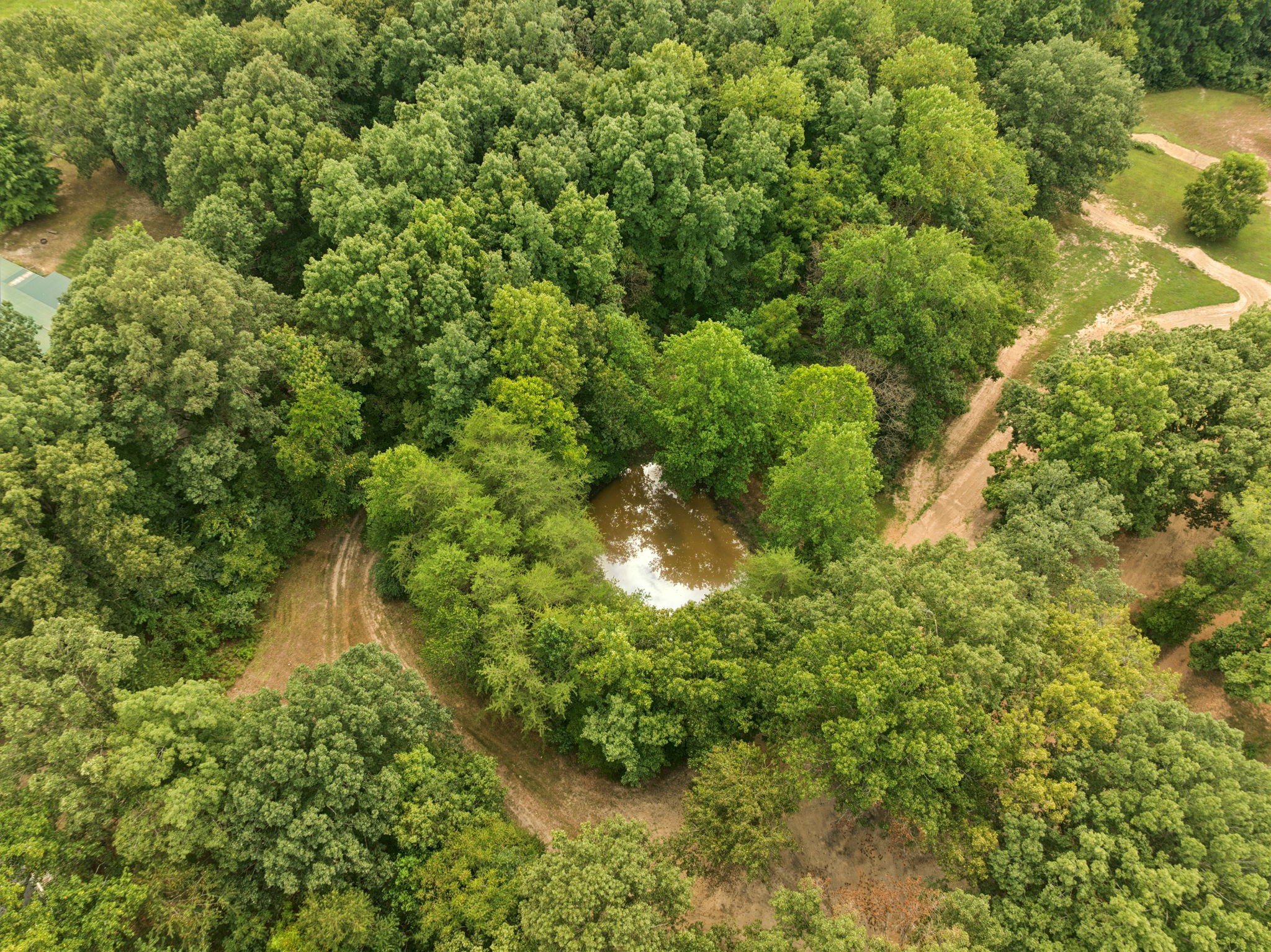 0 Dog Creek Rd Property Photo 1