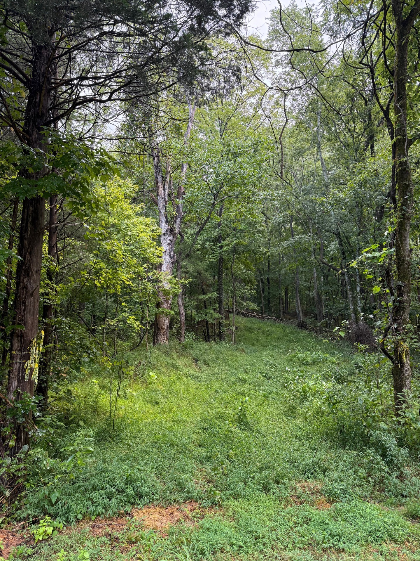 0 Shelter Branch Rd Property Photo 1