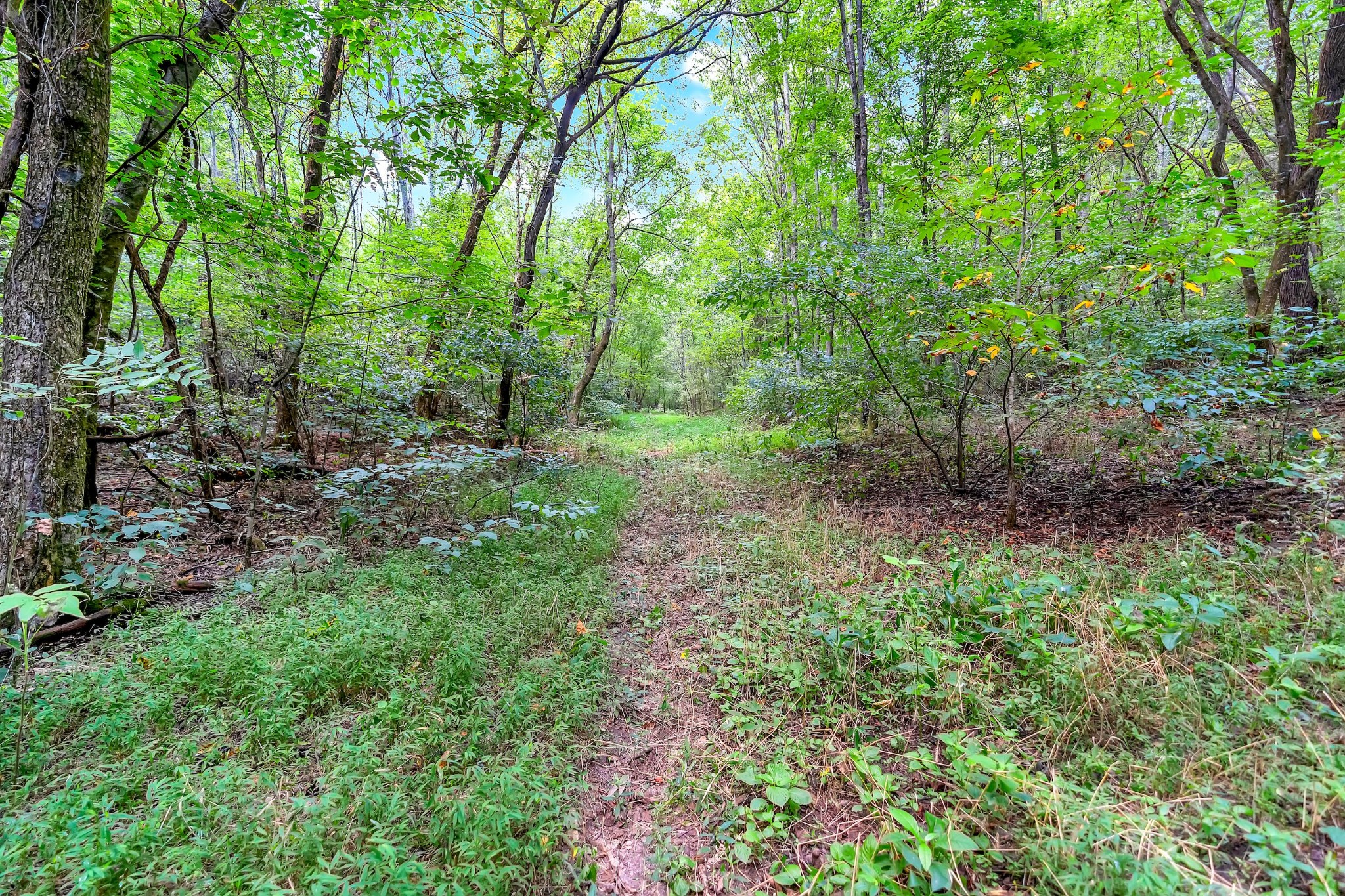 0 Red Hill Rd Property Photo 3