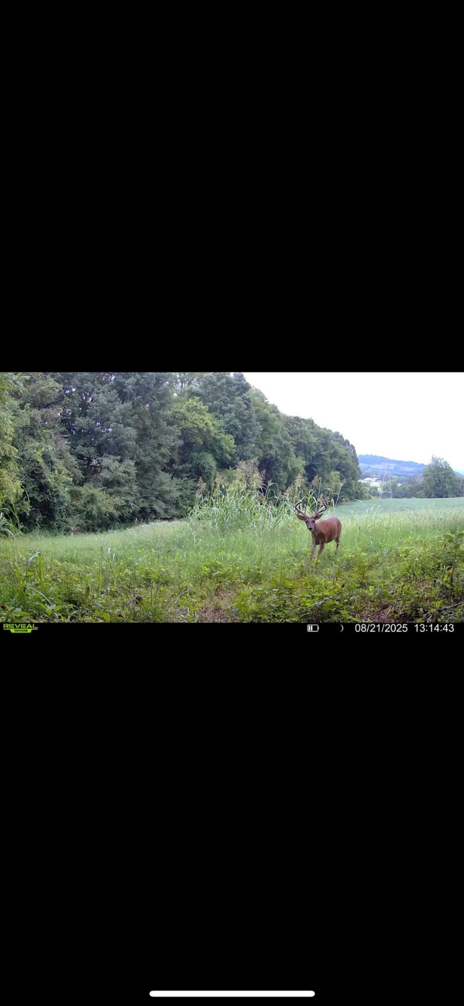 0 Red Hill Rd Property Photo 10