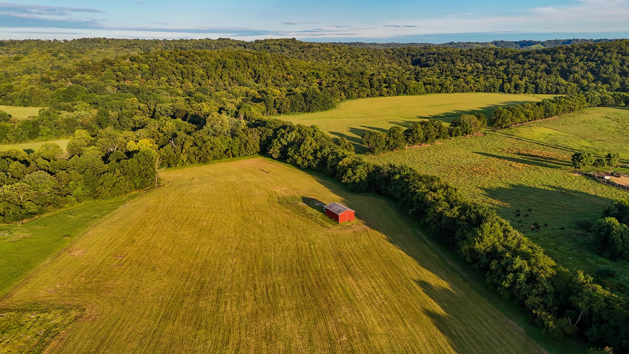 0 Old Fayetteville Hwy Property Photo 4