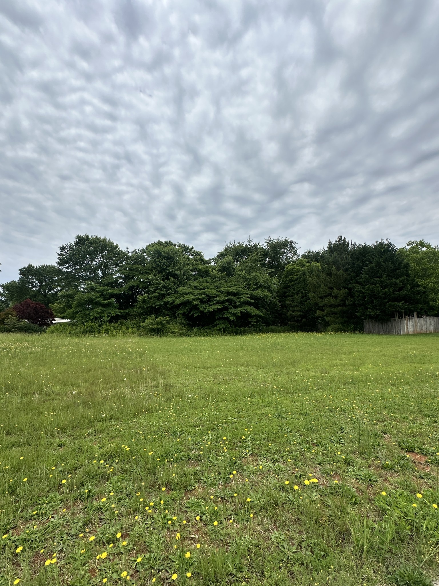 33 Jaunita Dr Property Photo 1