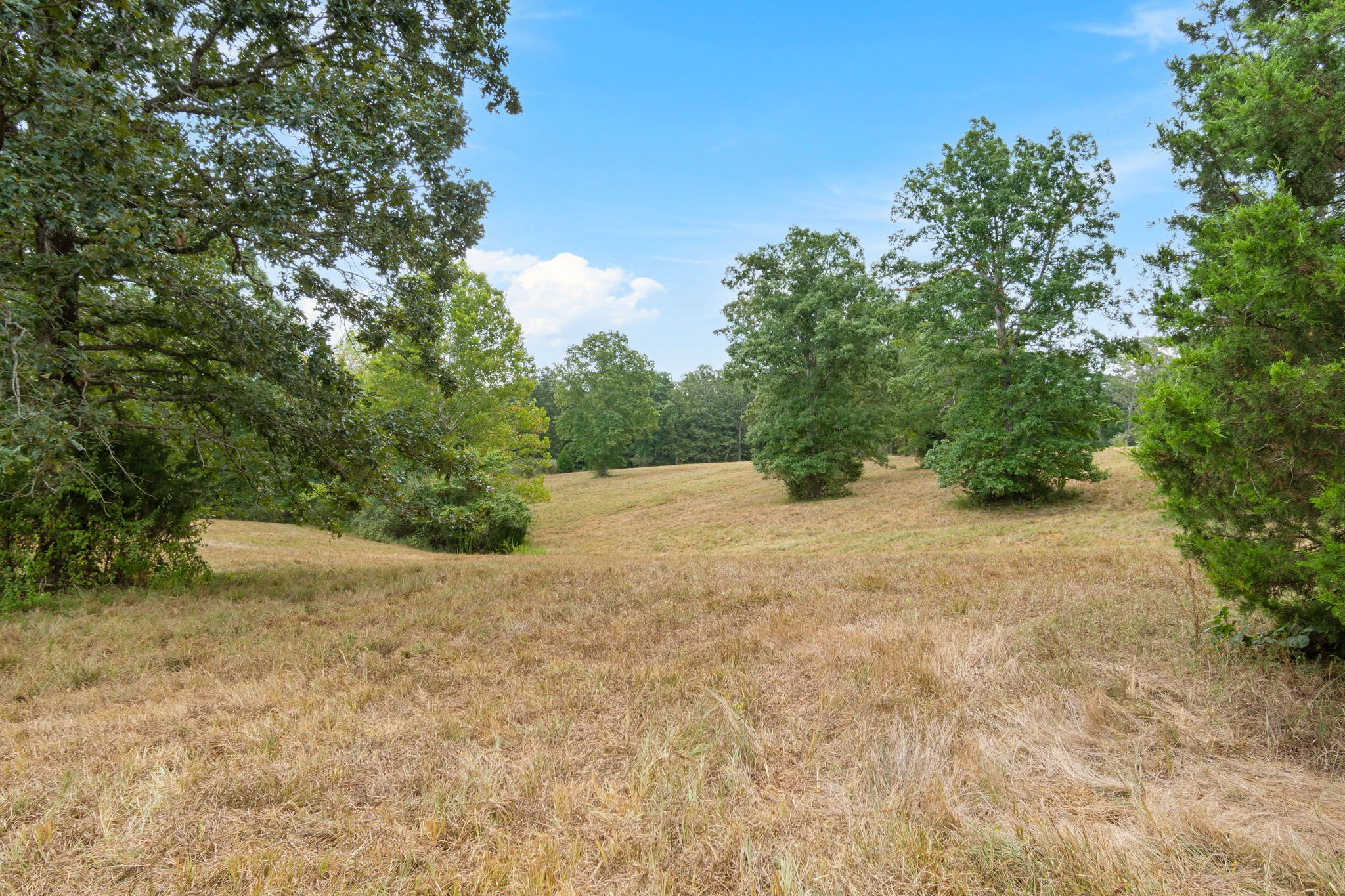 2820 Skyview Drive Property Photo 53