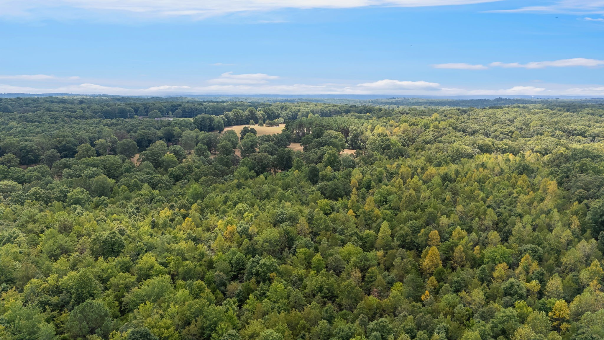 2820 Skyview Drive Property Photo 65