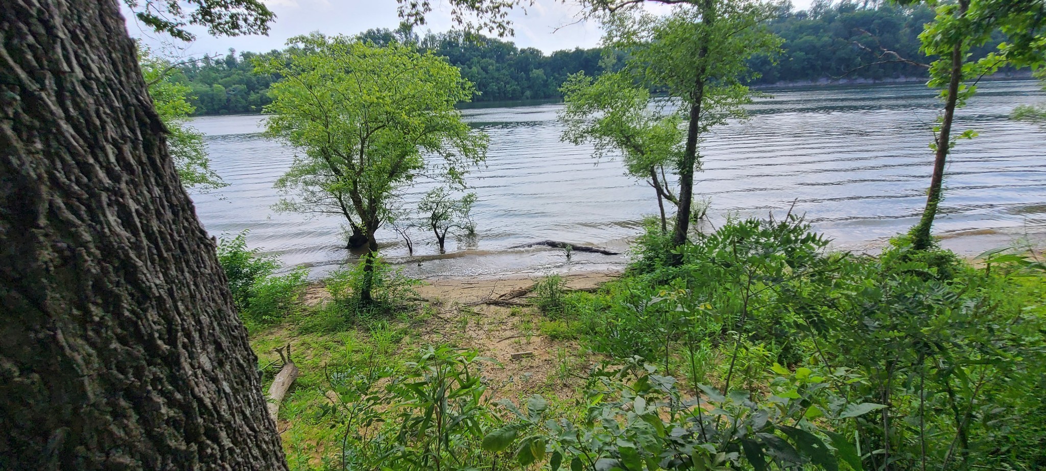 855 Hardin Bottom River Rd Property Photo 9