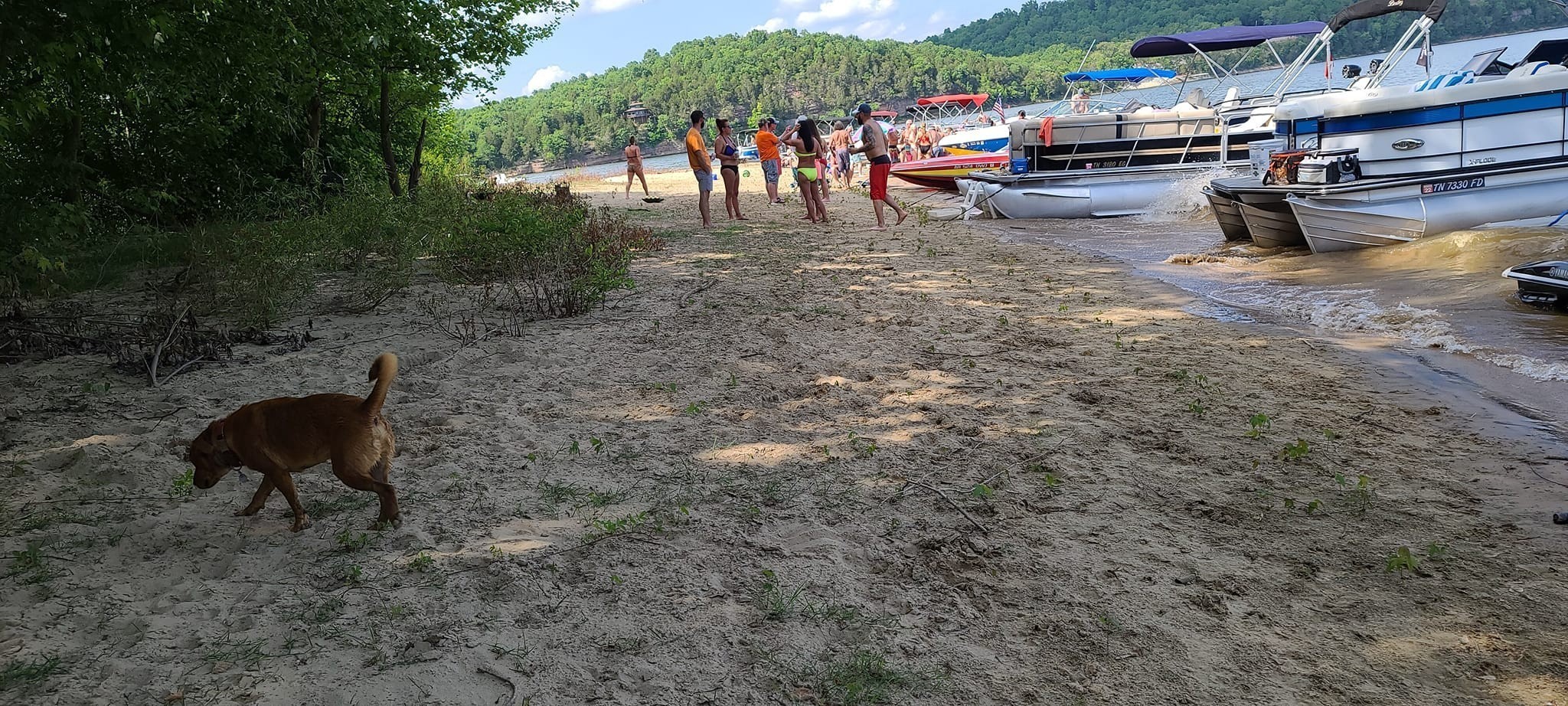 855 Hardin Bottom River Rd Property Photo 20