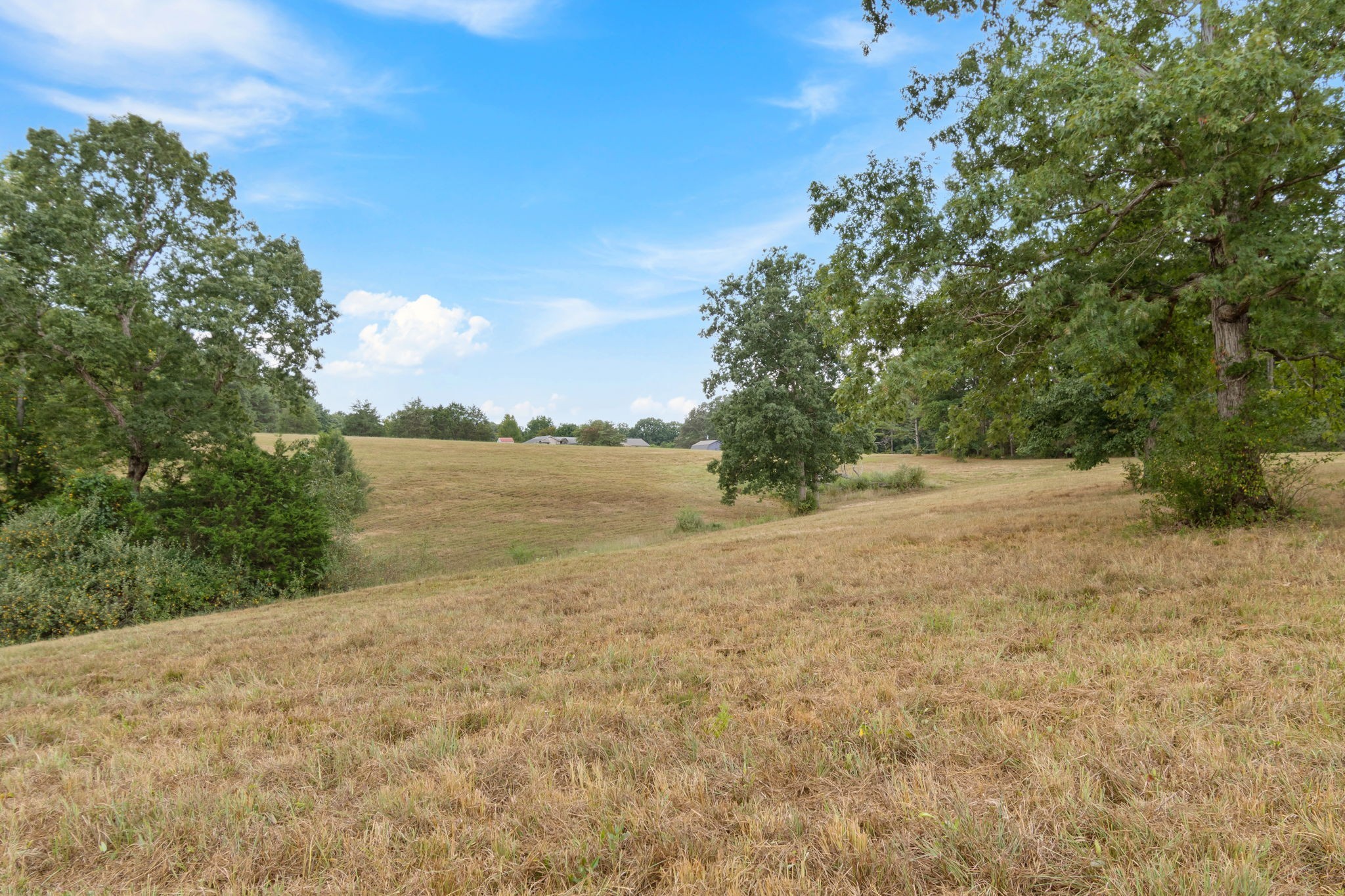 2820 Skyview Drive Property Photo 4