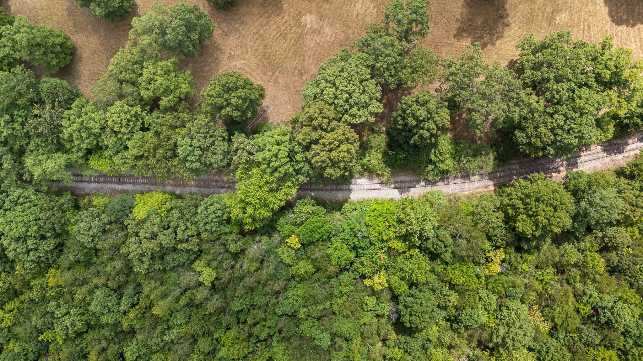 2820 Skyview Drive Property Photo 60