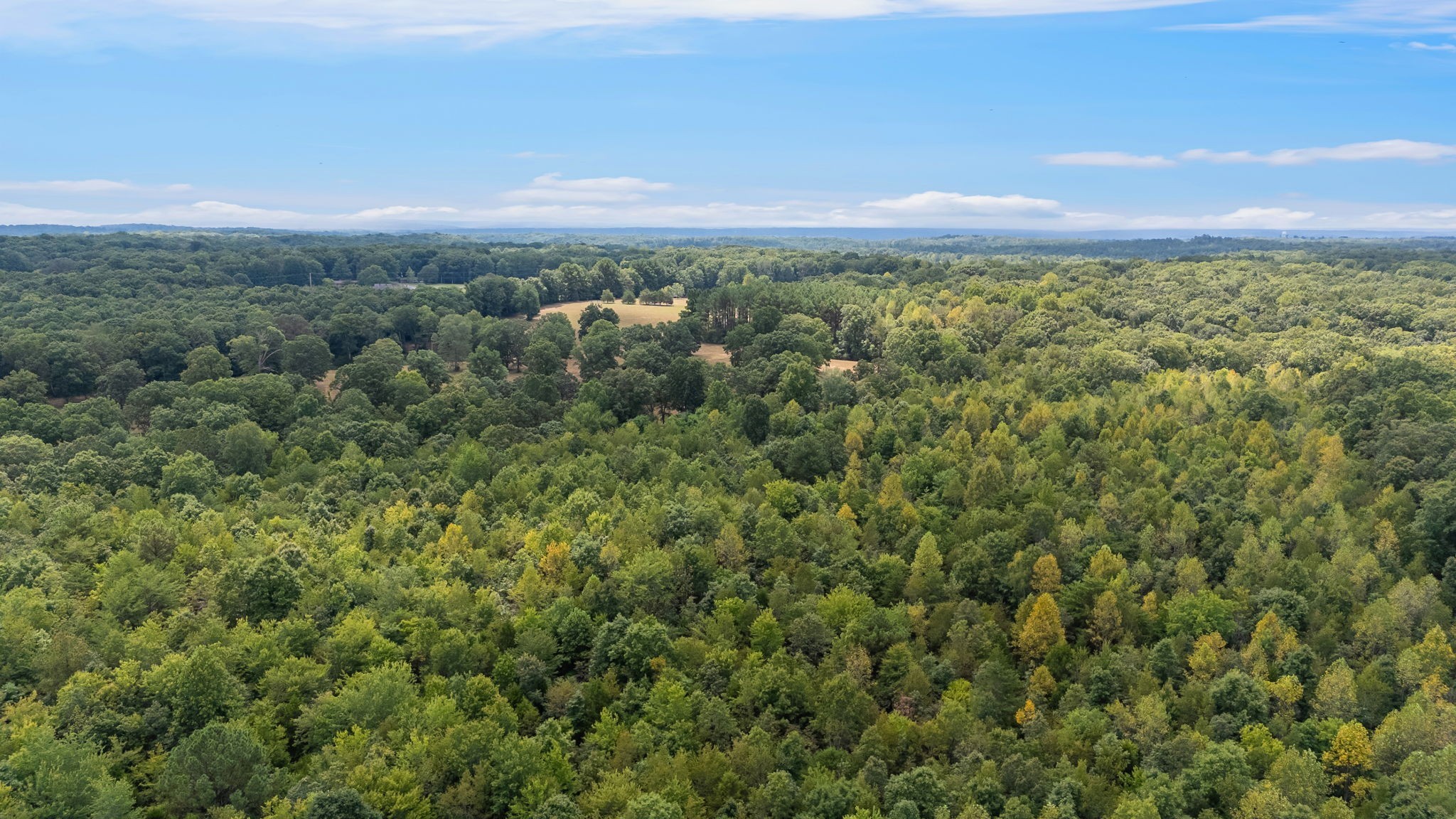 2820 Skyview Drive Property Photo 65