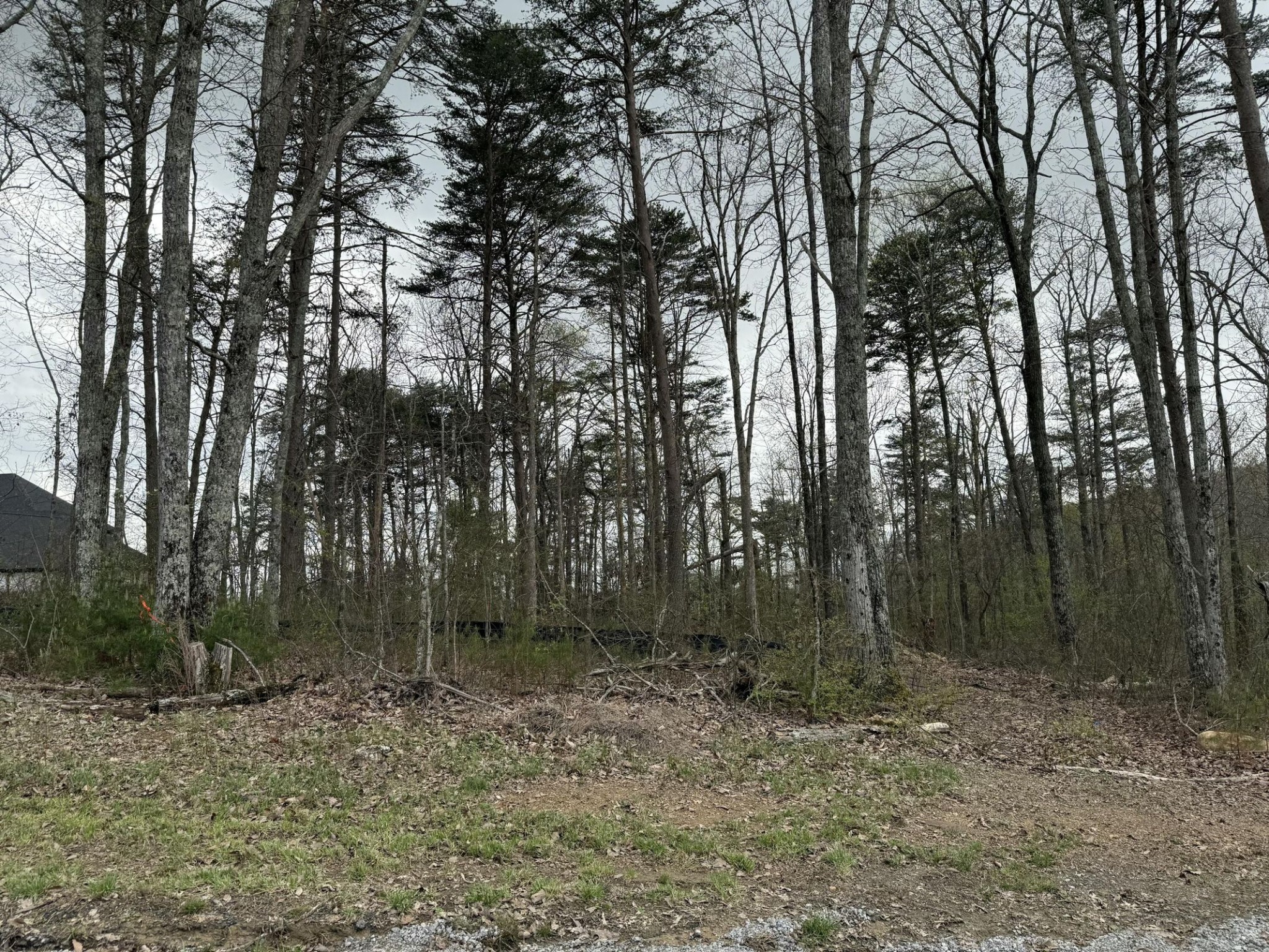 8216 Mountain Laurel Trl Property Photo 1