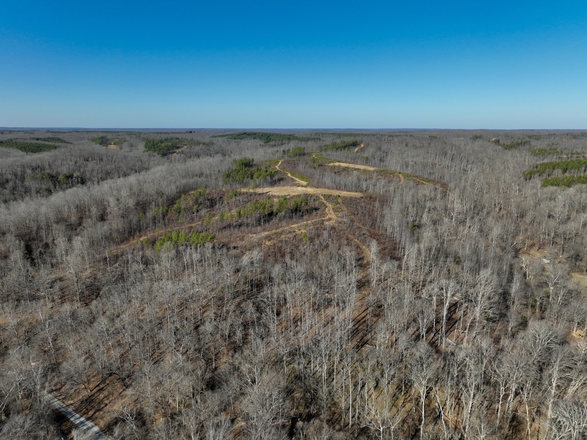 0 White Oak Rd Property Photo 8