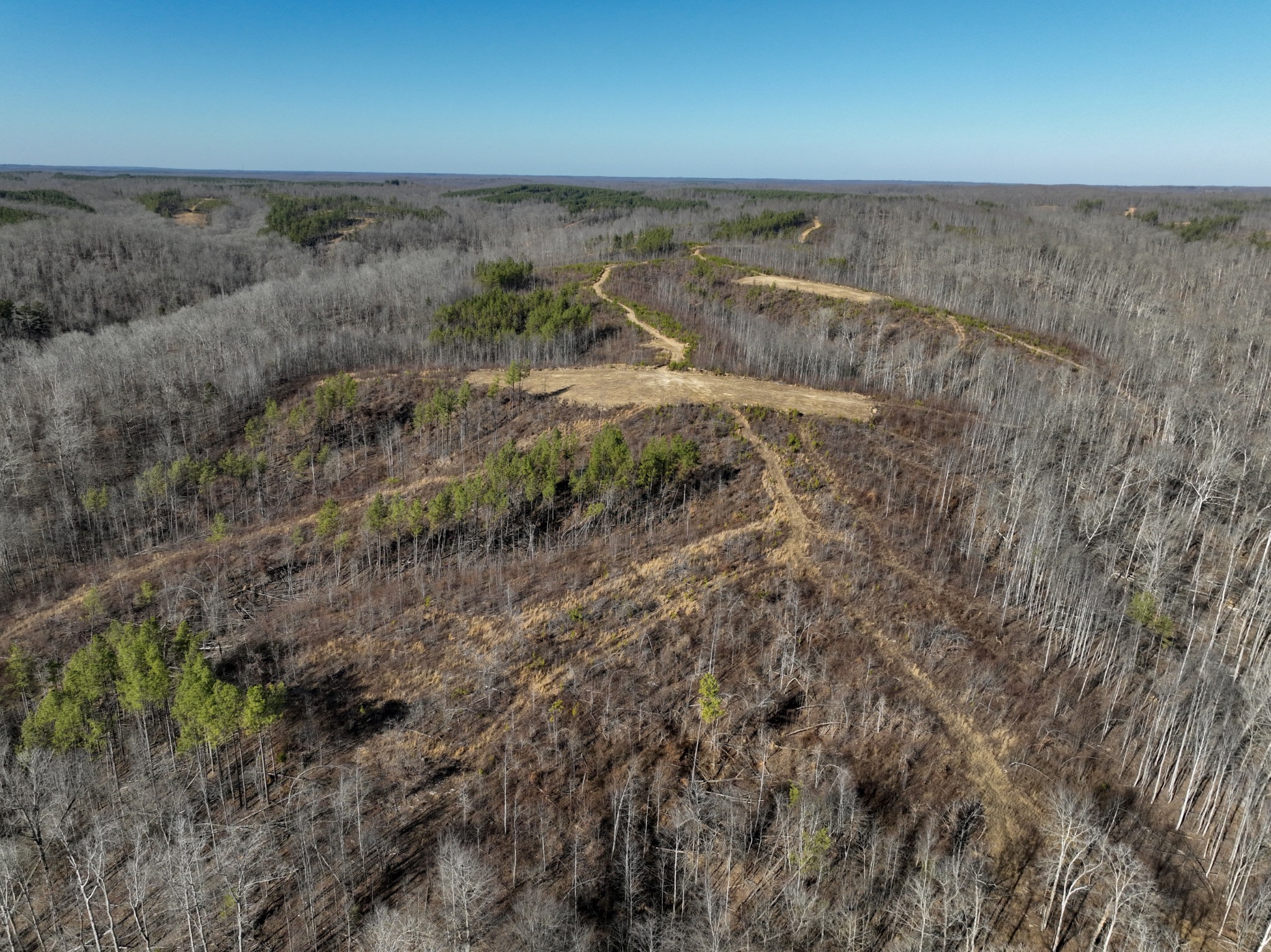 0 White Oak Rd Property Photo 9