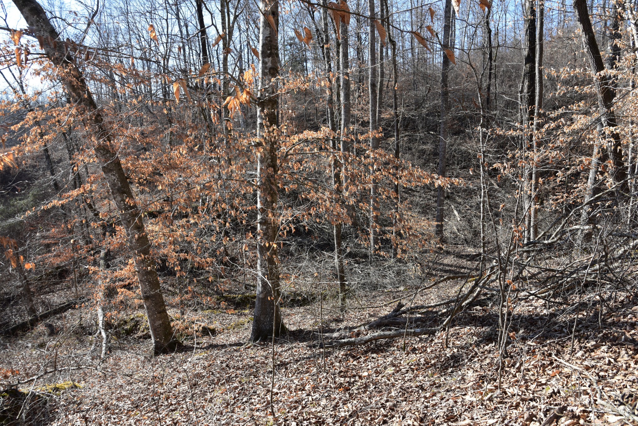 0 White Oak Rd Property Photo 13