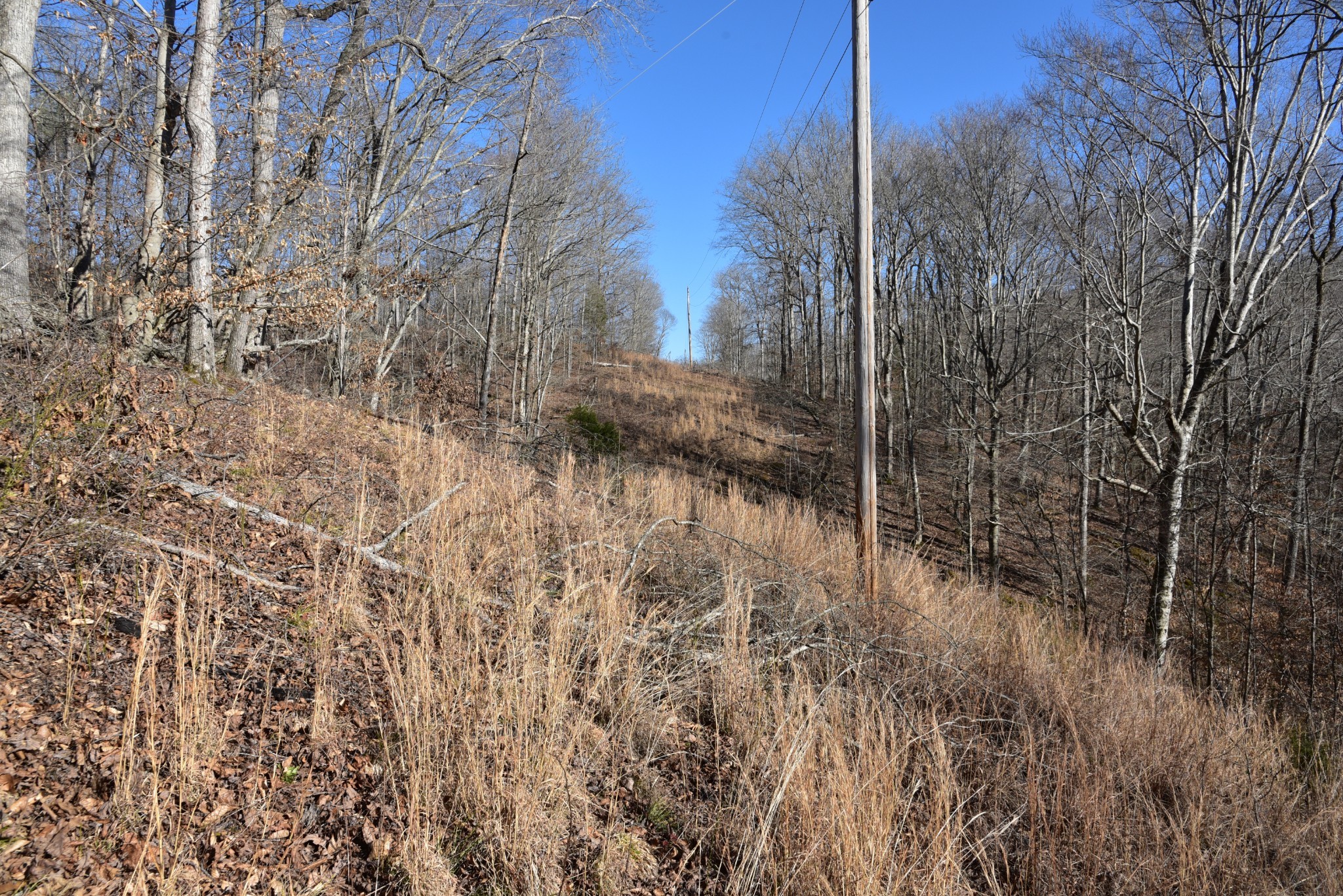 0 White Oak Rd Property Photo 14