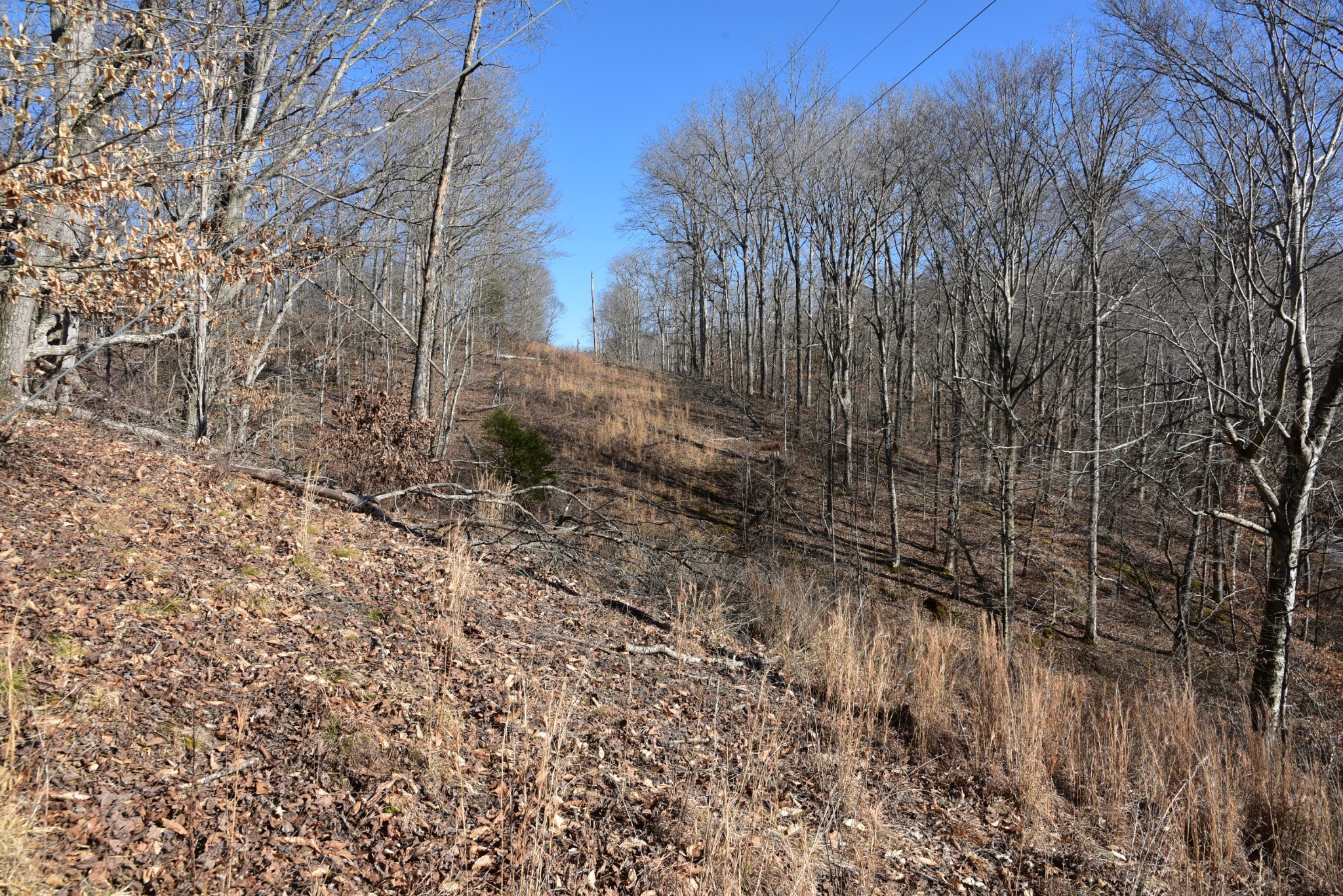 0 White Oak Rd Property Photo 15