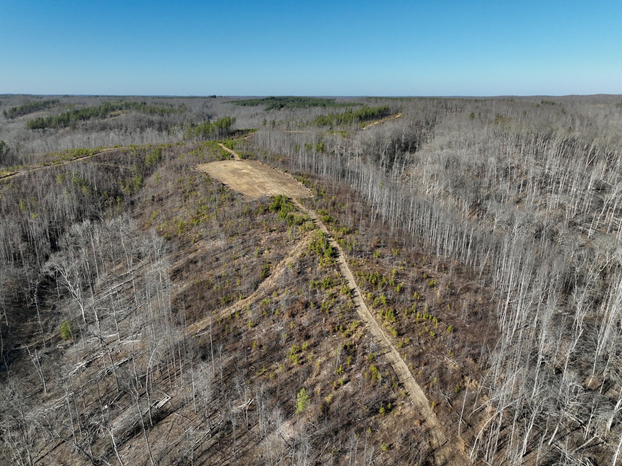 0 White Oak Rd Property Photo 16