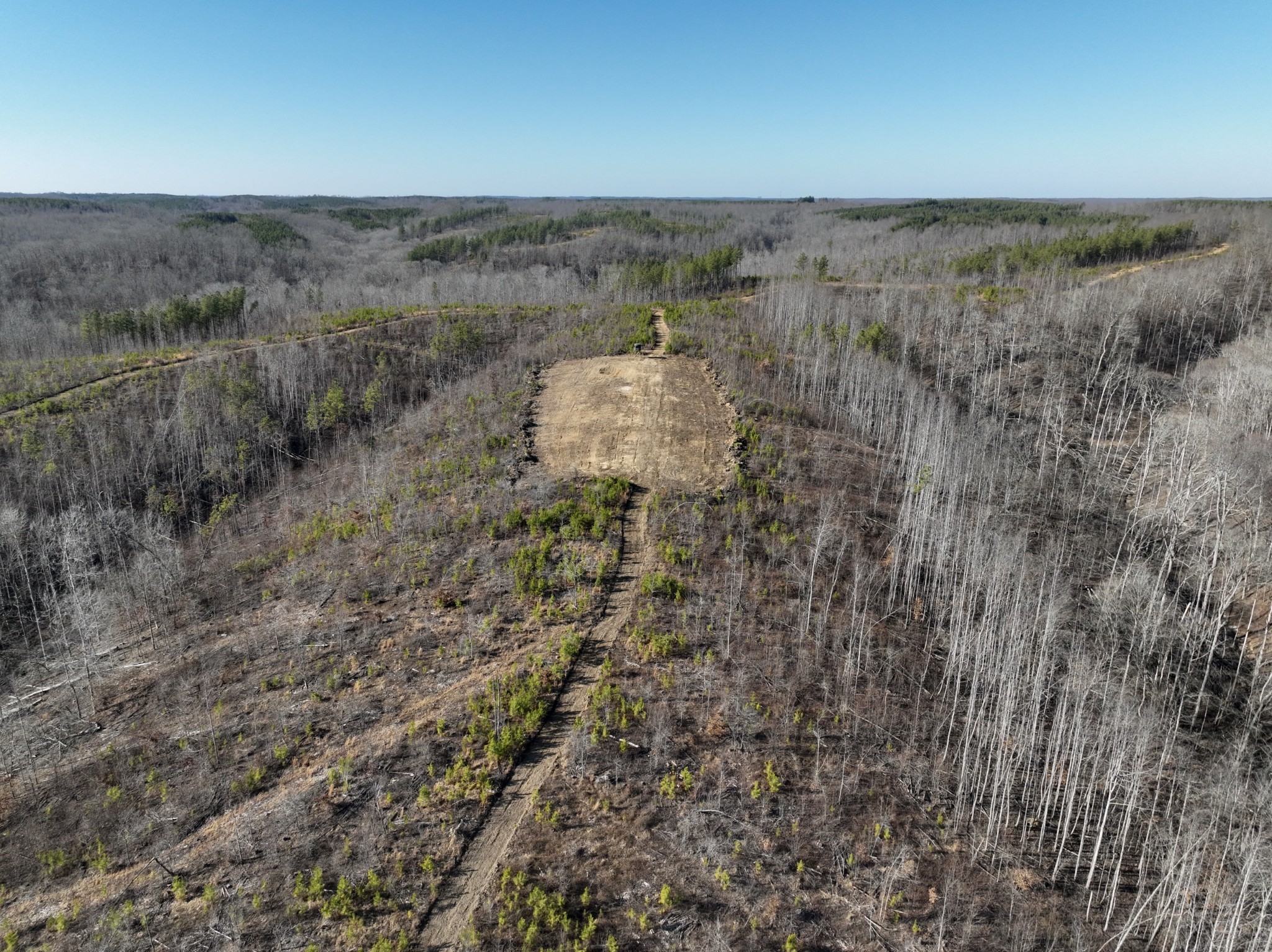 0 White Oak Rd Property Photo 17