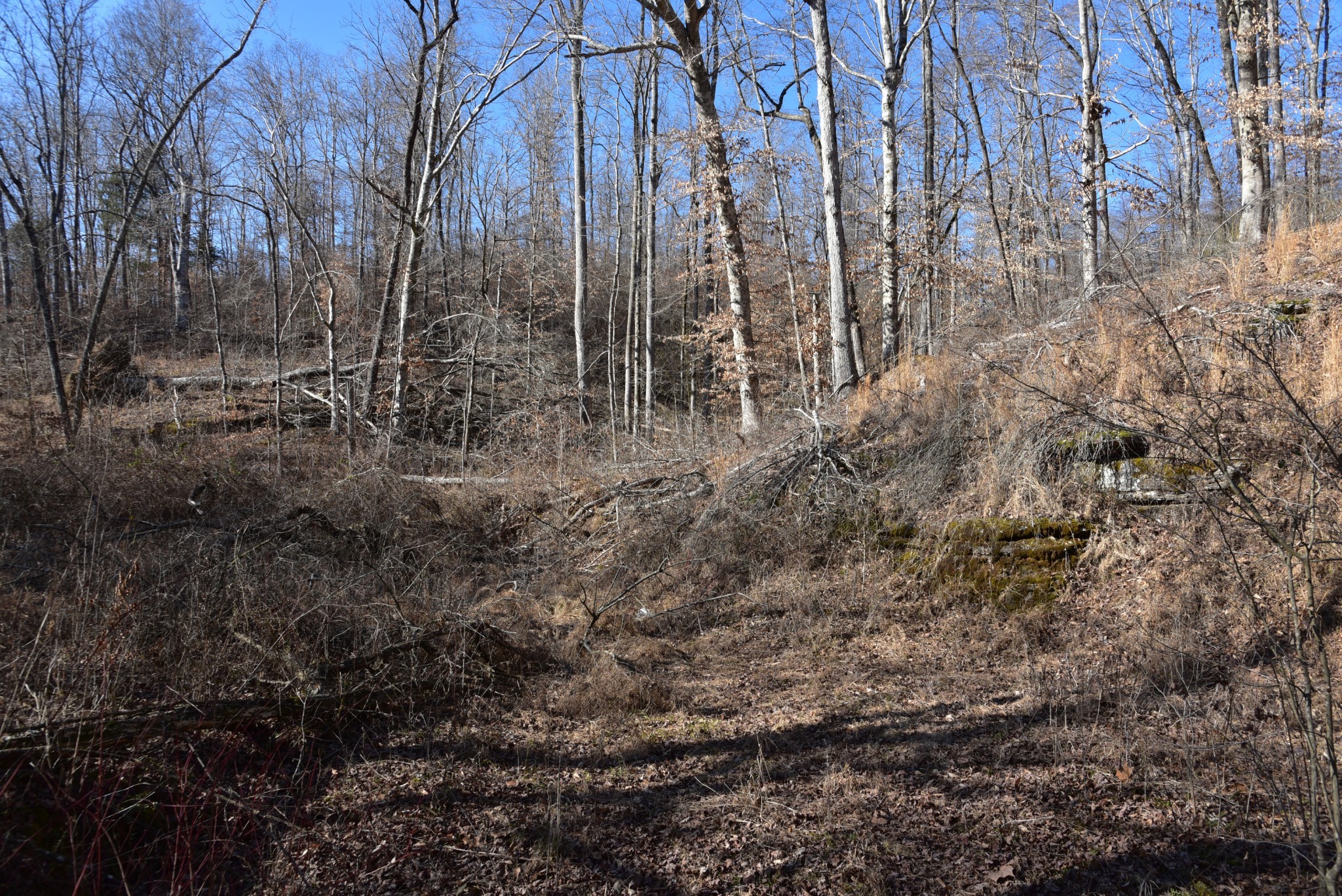 0 White Oak Rd Property Photo 24