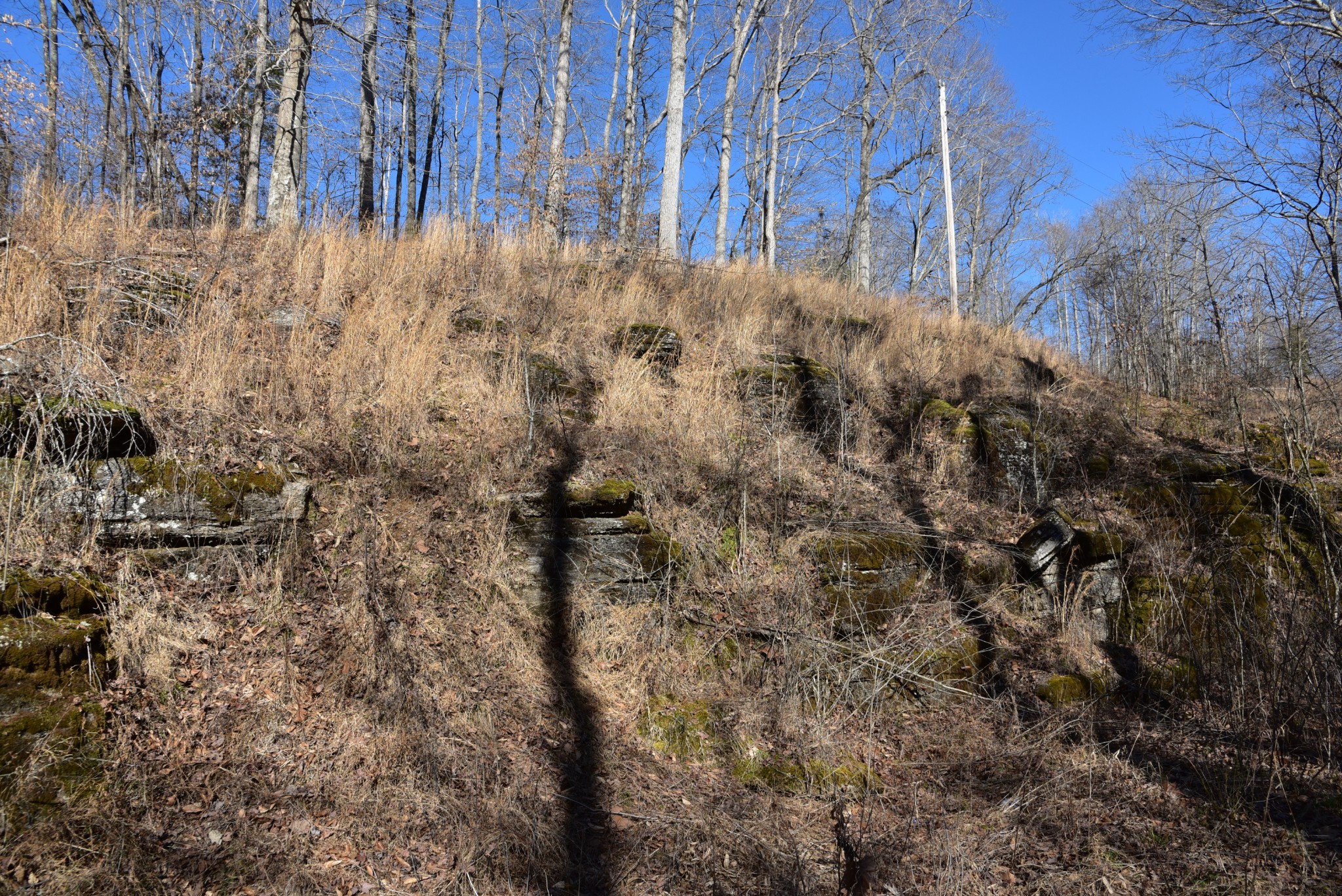 0 White Oak Rd Property Photo 25