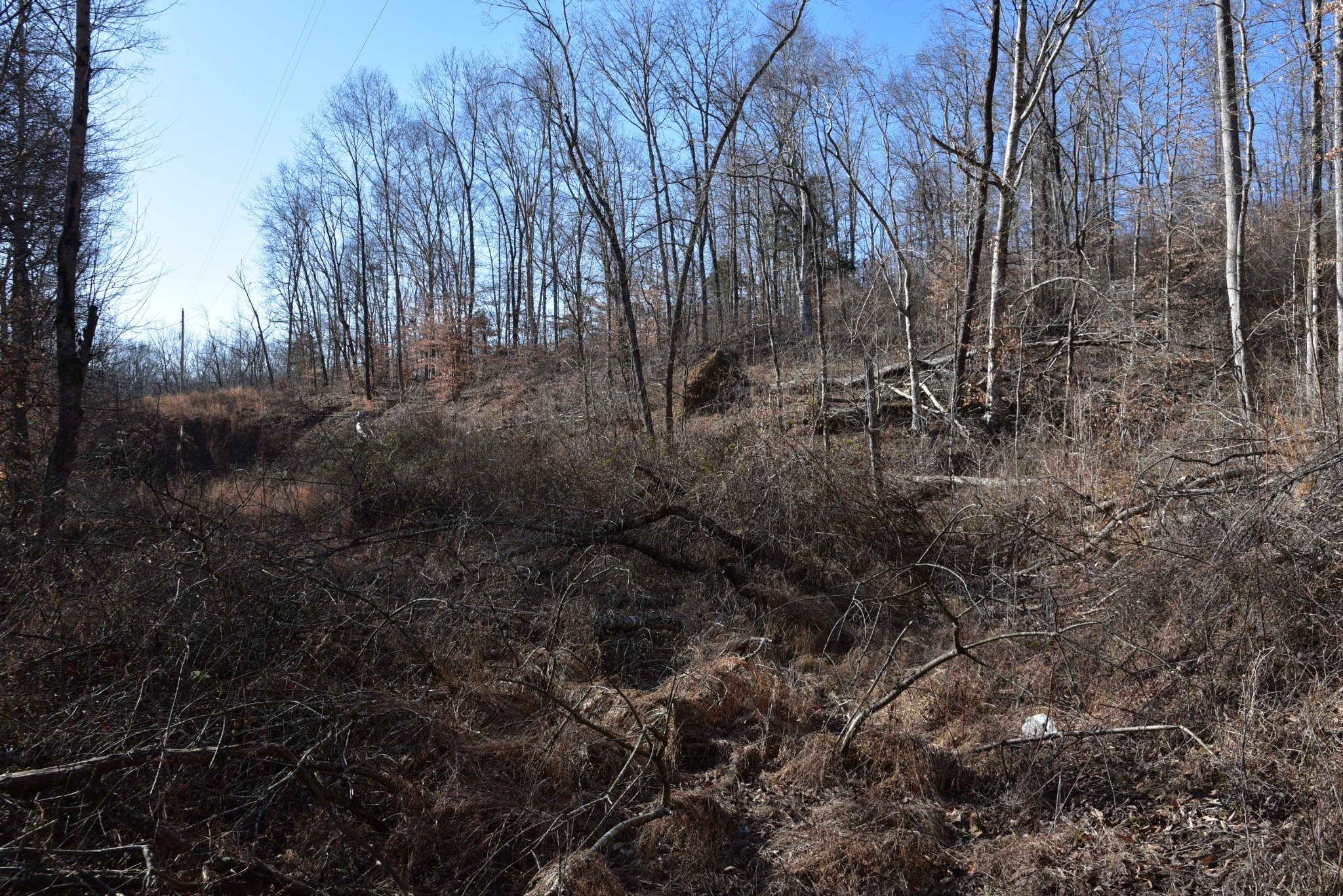 0 White Oak Rd Property Photo 26