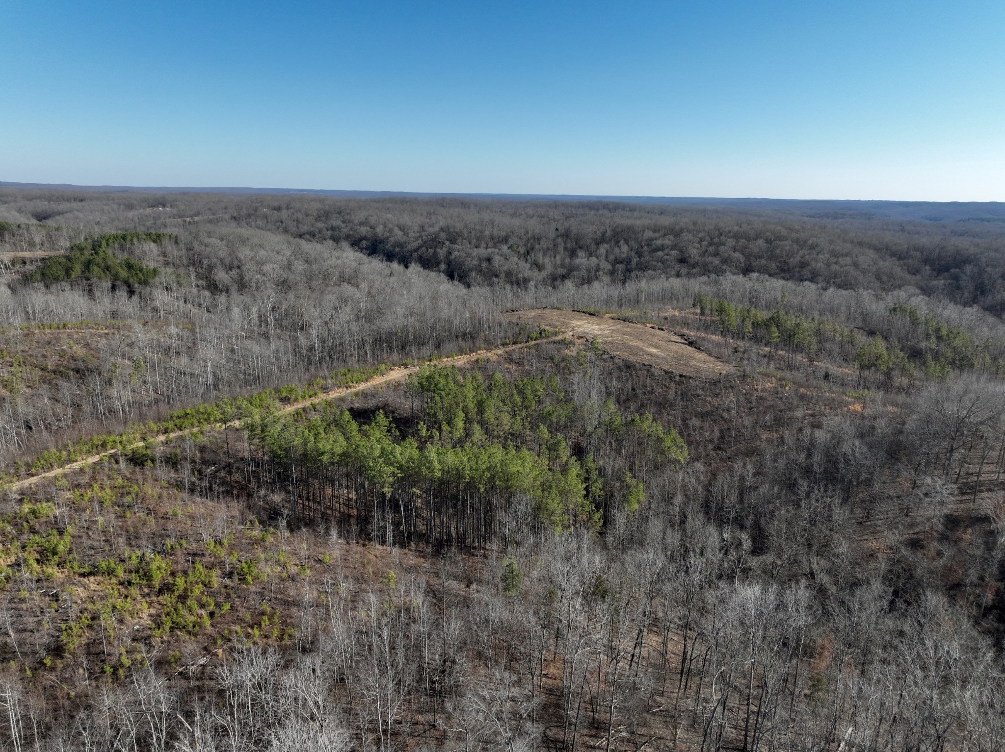 0 White Oak Rd Property Photo 29