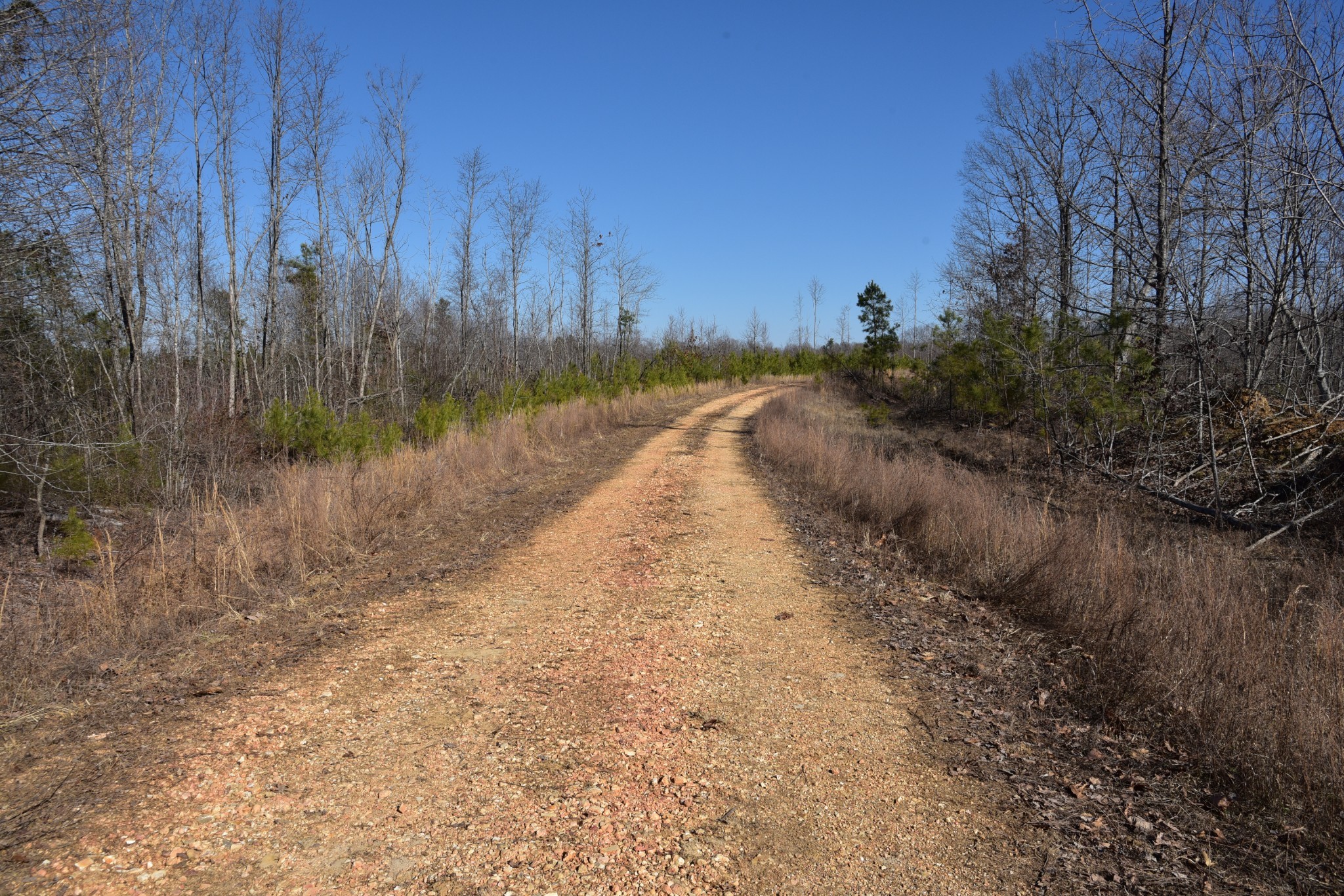 0 White Oak Rd Property Photo 2